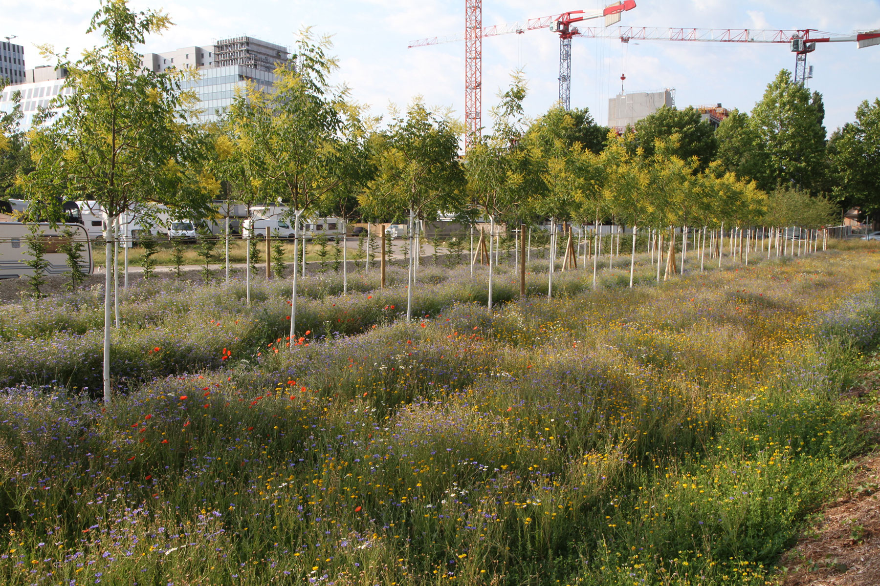 07_acte2paysage_strasbourg_archipel