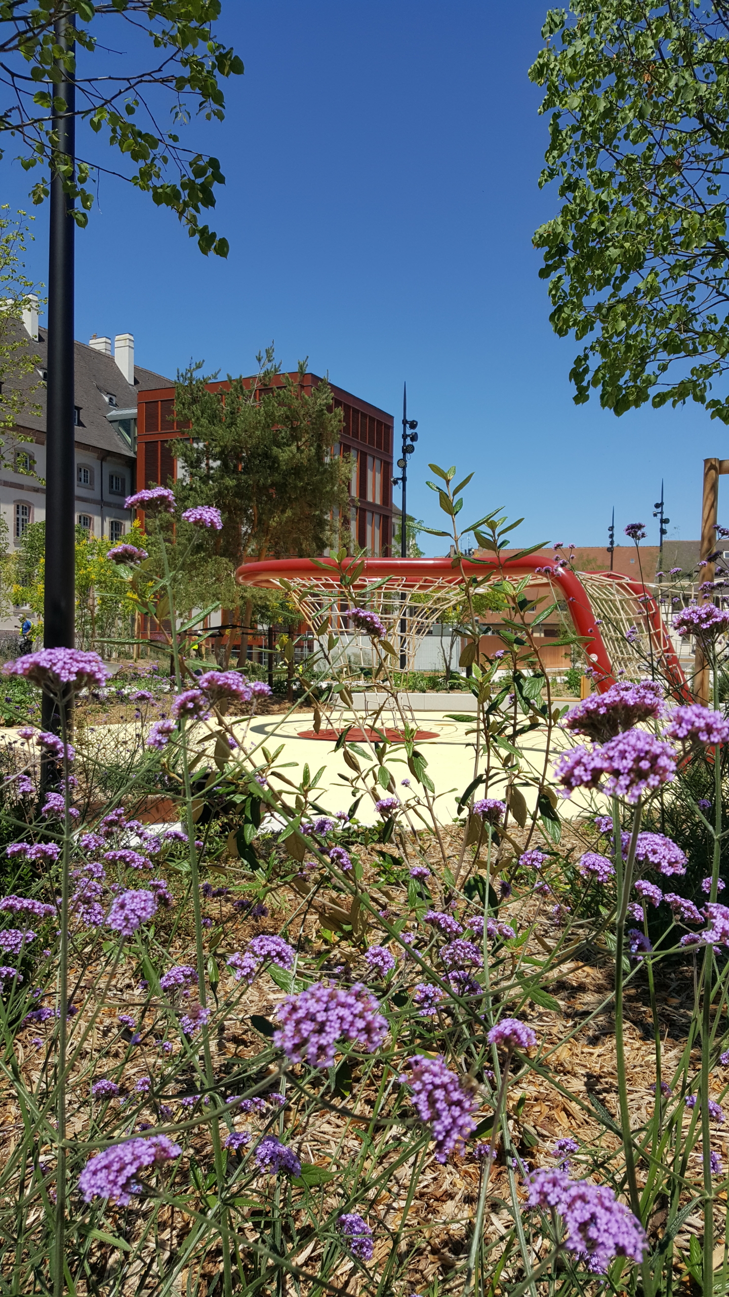 07_acte2paysage_colmar_montagne verte