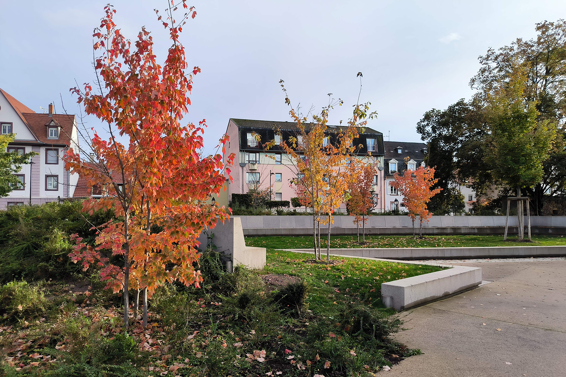 20_acte2paysage_colmar_montagne verte