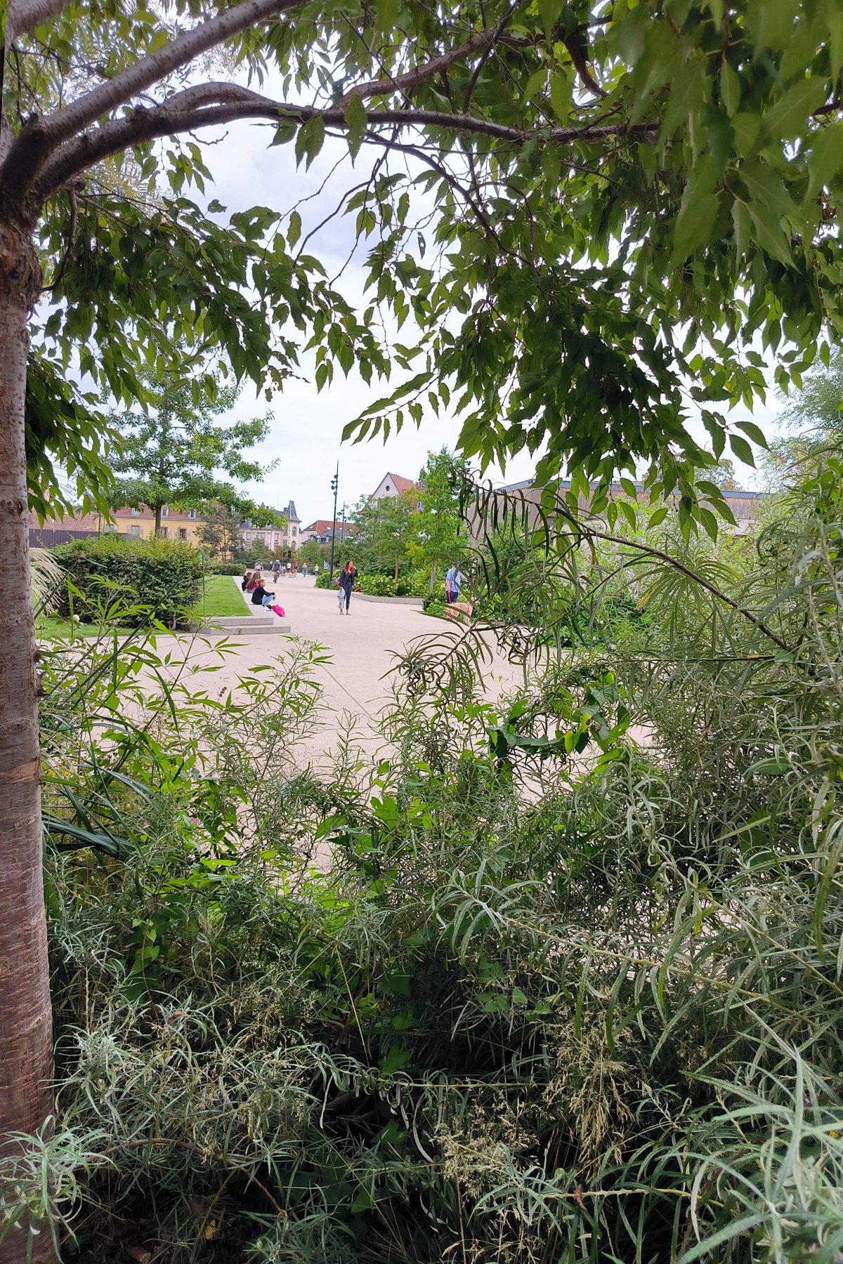 21_acte2paysage_colmar_montagne verte