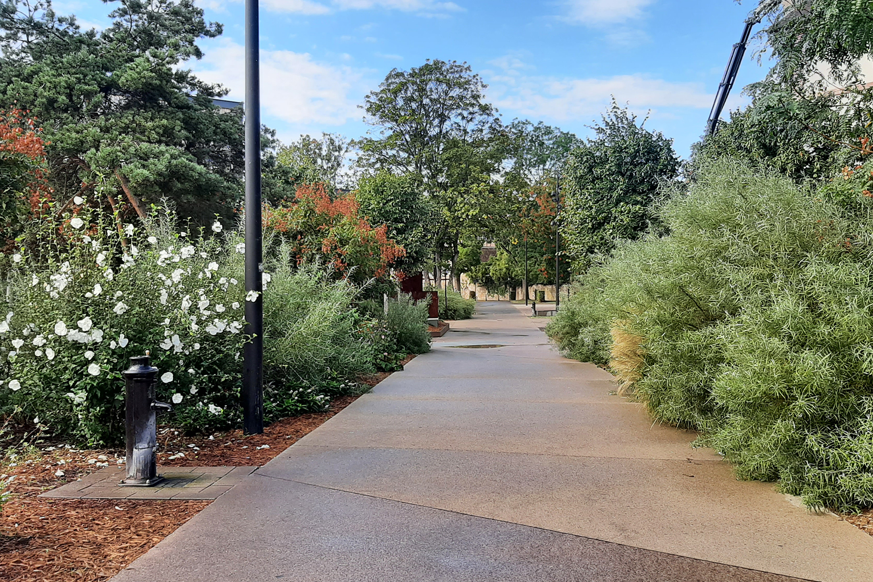 24_acte2paysage_colmar_montagne verte