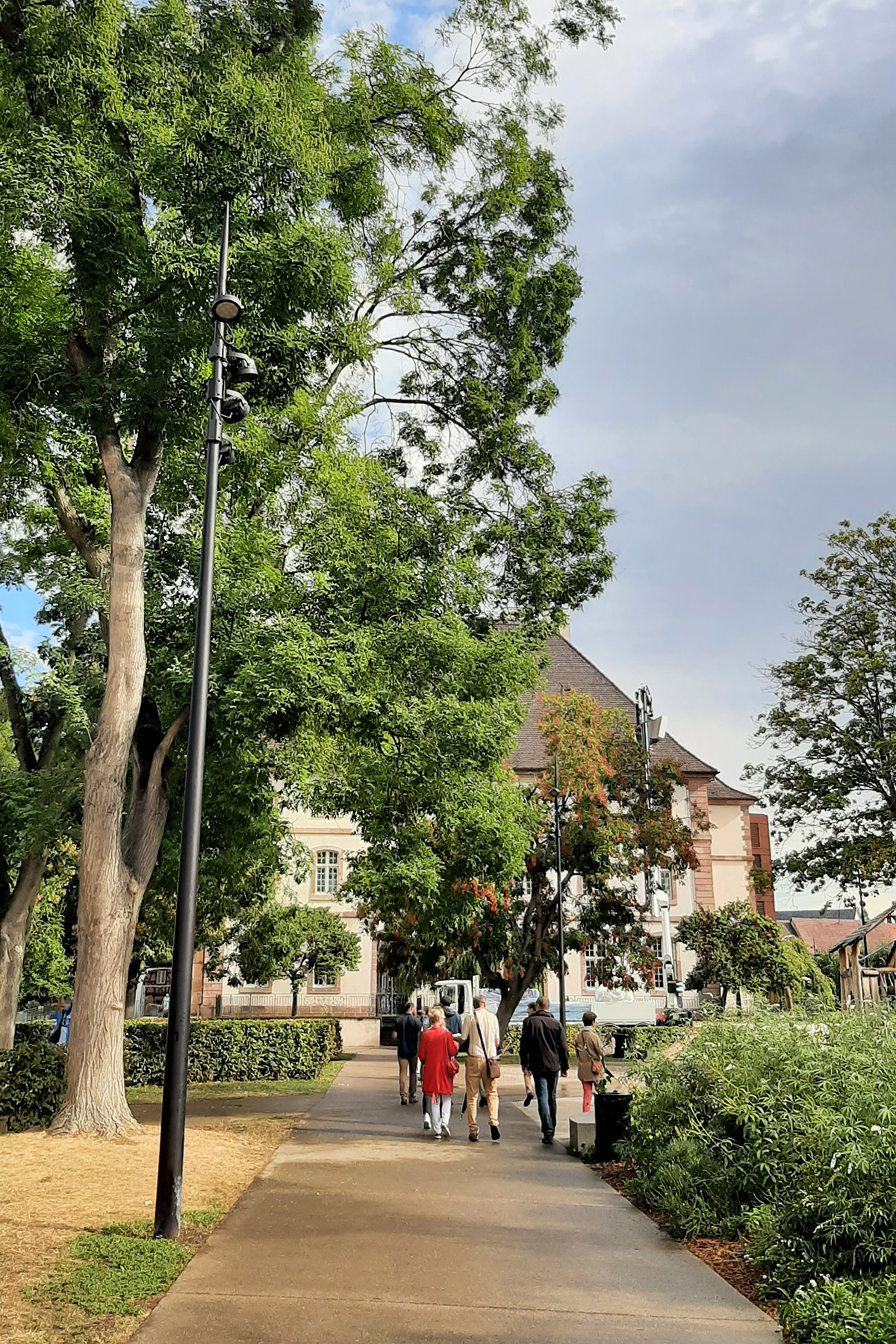 25_acte2paysage_colmar_montagne verte