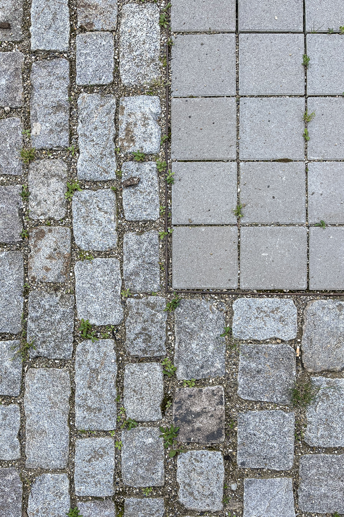 Les jardins de la COOP - ©acte2paysage - photo 10