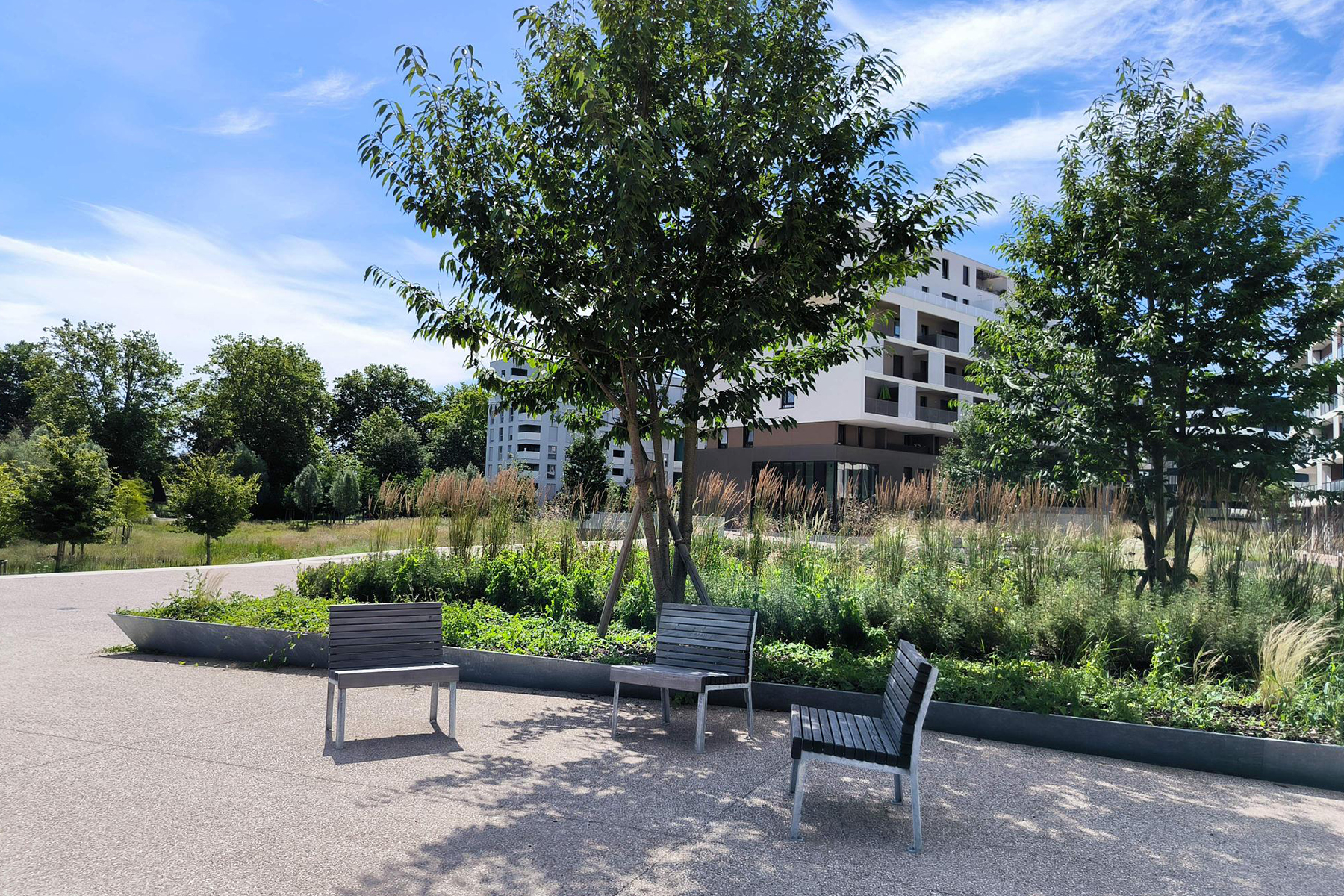 04_acte2paysage_illkirch-graffenstaden_prairies du canal