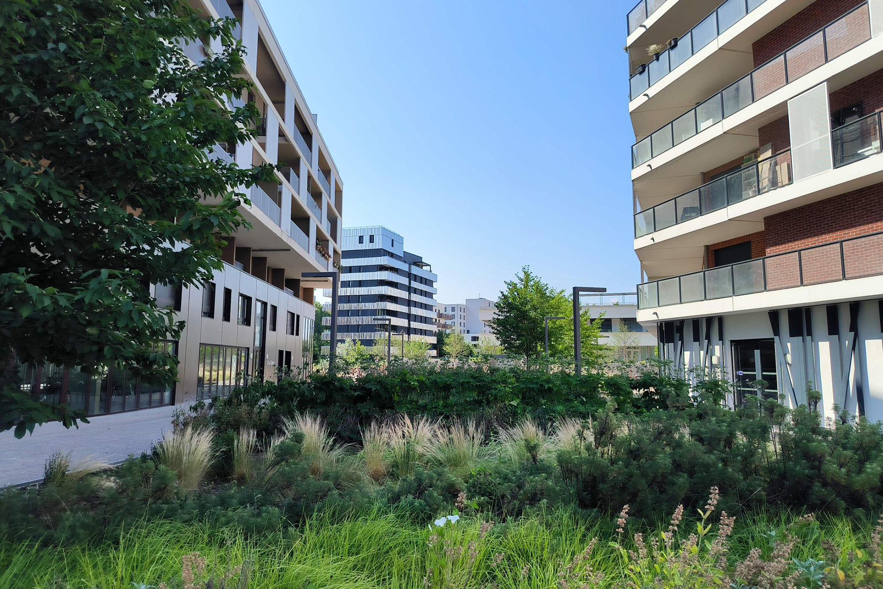 05_acte2paysage_illkirch-graffenstaden_prairies du canal