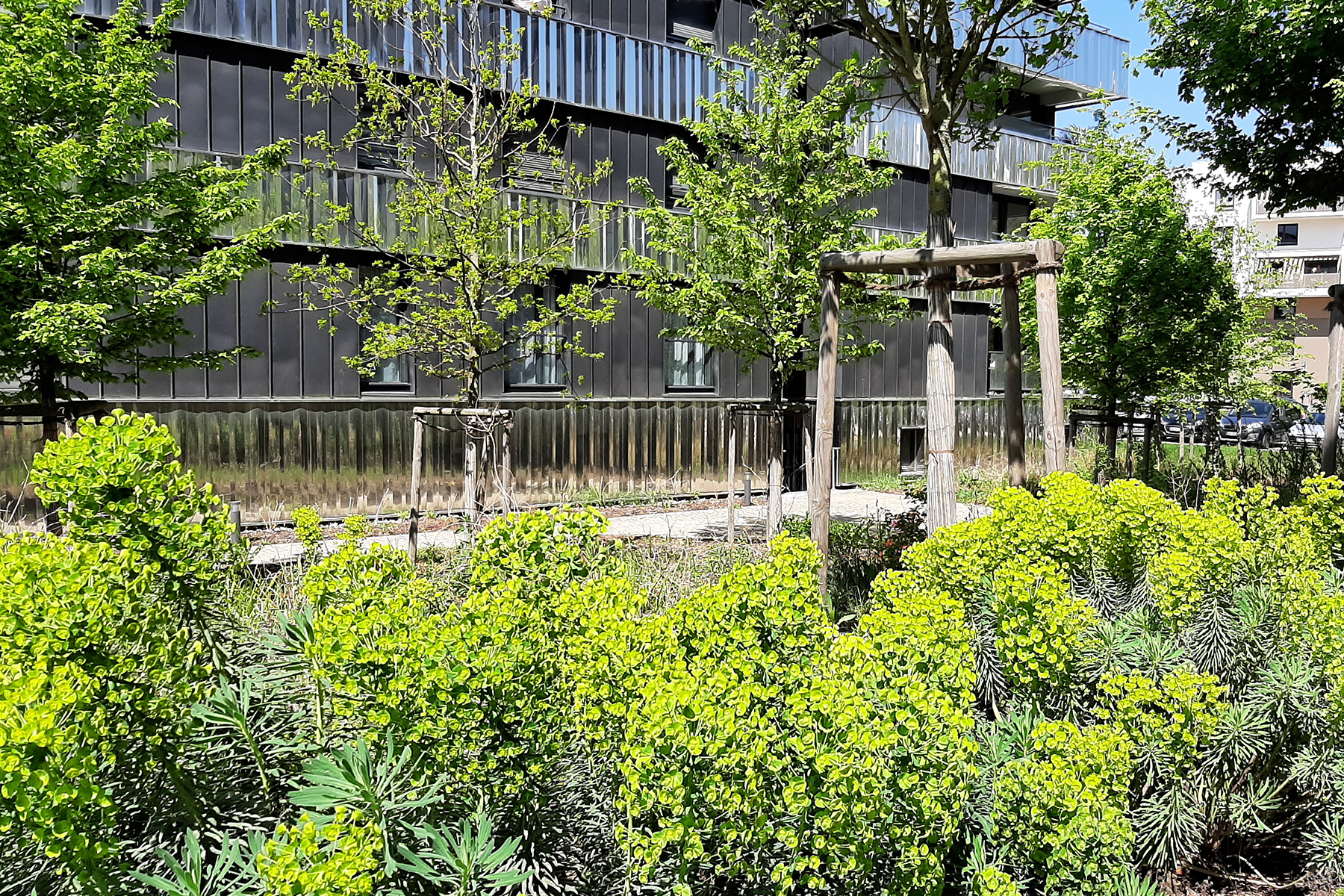 07_acte2paysage_illkirch-graffenstaden_prairies du canal