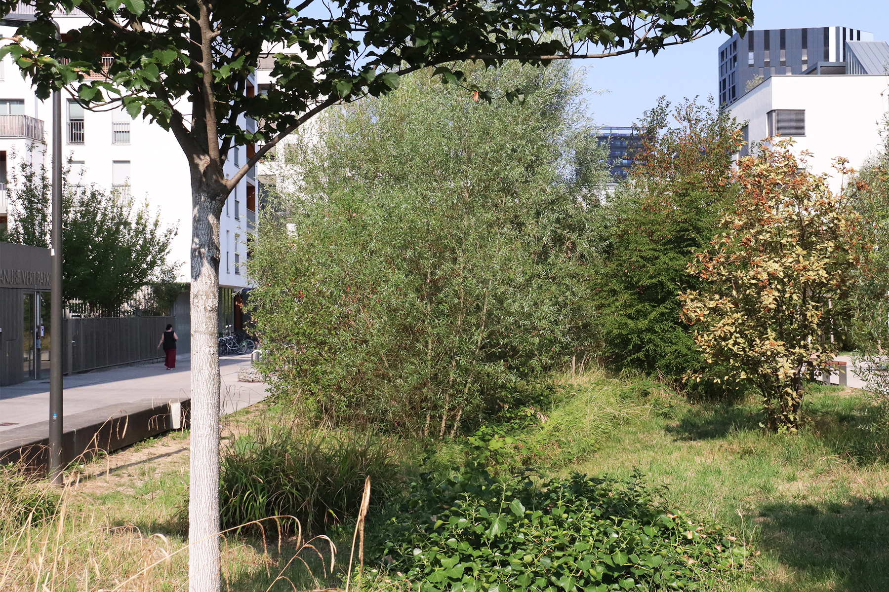 02_acte2paysage_Strasbourg_ZAC Danube